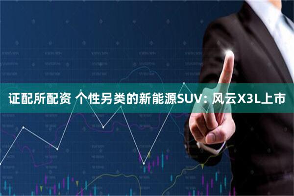 证配所配资 个性另类的新能源SUV: 风云X3L上市